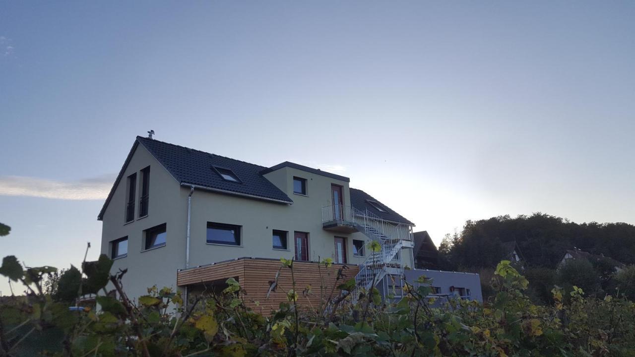 Gaestehaus Casa Luna - Paradiesische Ferienwohnungen Am Kaiserstuhl! Bischoffingen Exterior photo