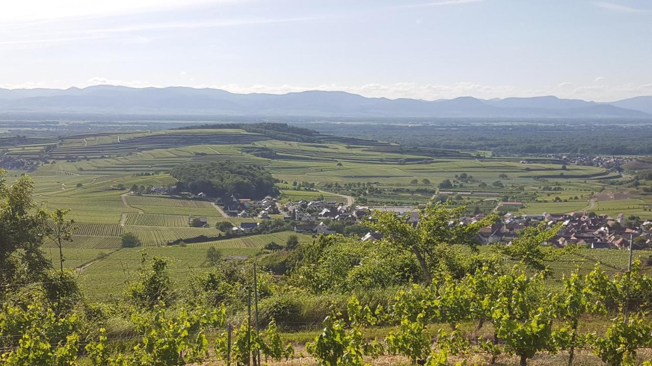 Gaestehaus Casa Luna - Paradiesische Ferienwohnungen Am Kaiserstuhl! Bischoffingen Exterior photo